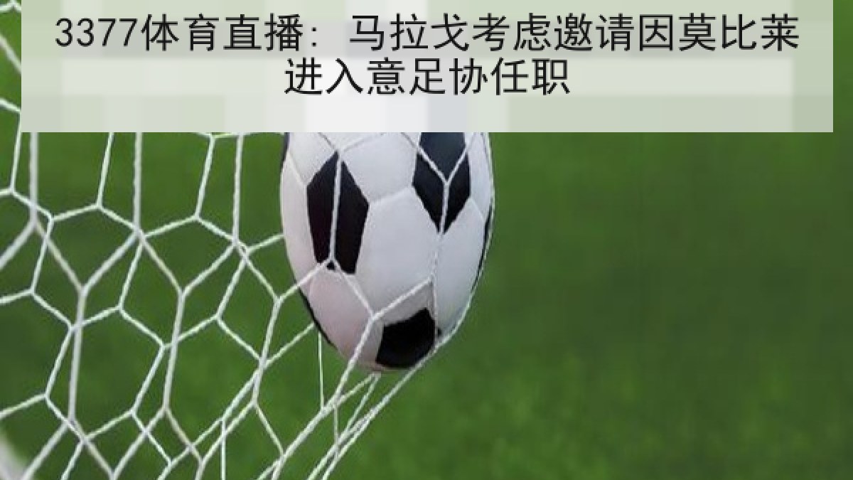 3377体育直播: 马拉戈考虑邀请因莫比莱进入意足协任职